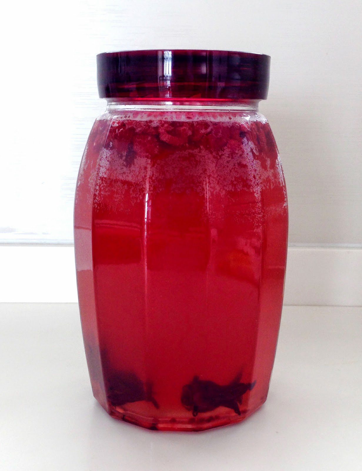 Organic Hibiscus & Raspberry Kombucha Tea