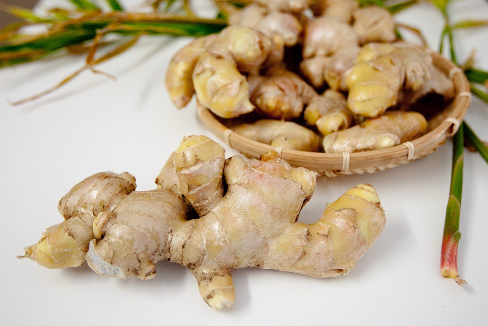 grow your own ginger